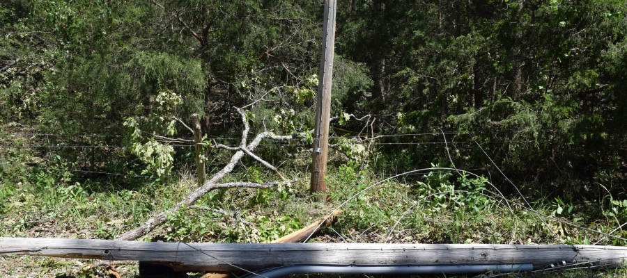 Broken electric pole